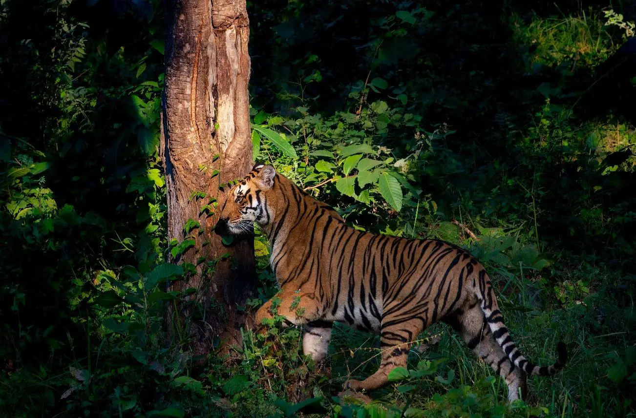 TERAI Expedition 2026-2027
