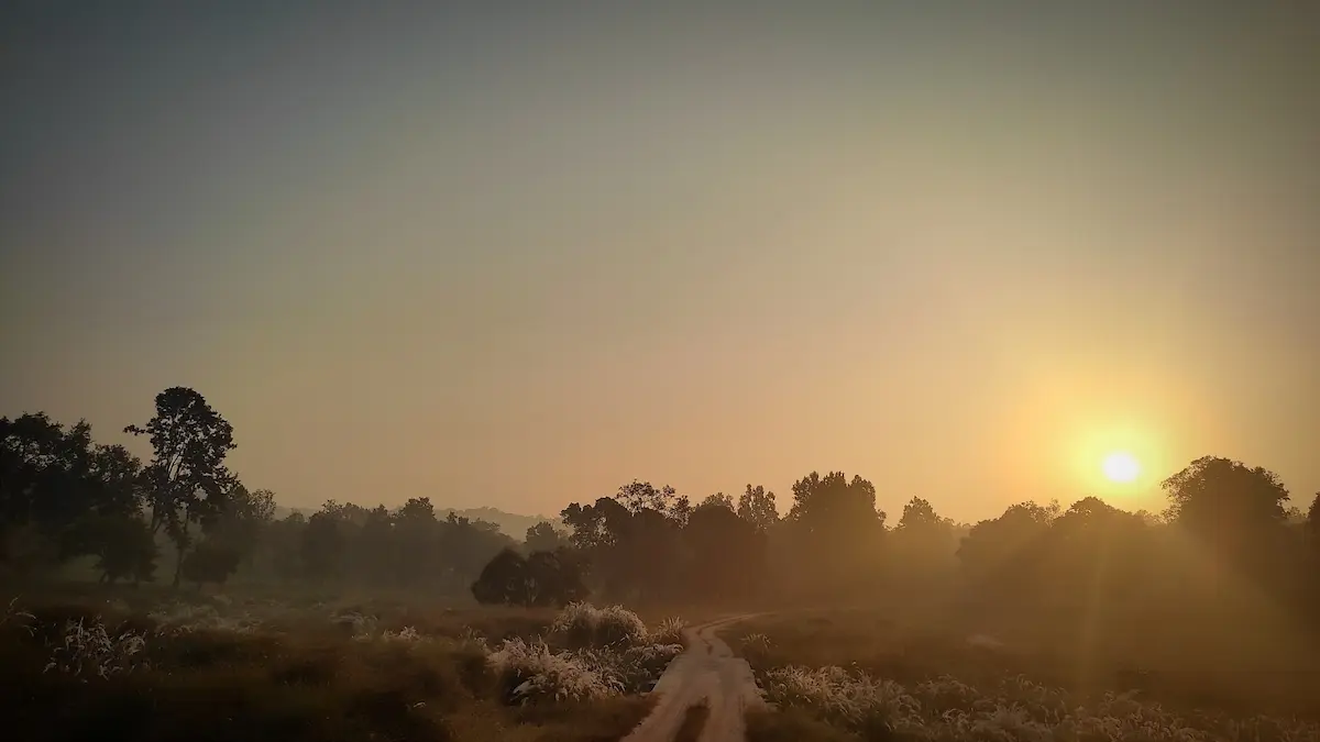 Exploring Indias Central Forests A Journey Through Kanha And Beyond 2
