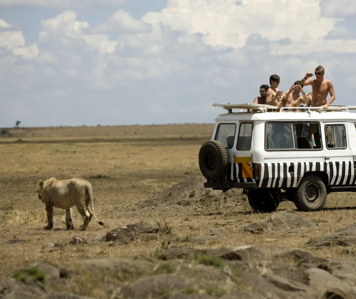 Mastering Safari Photography: Expert Tips for Capturing the Masai Mara
