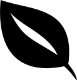 Leaf Icon