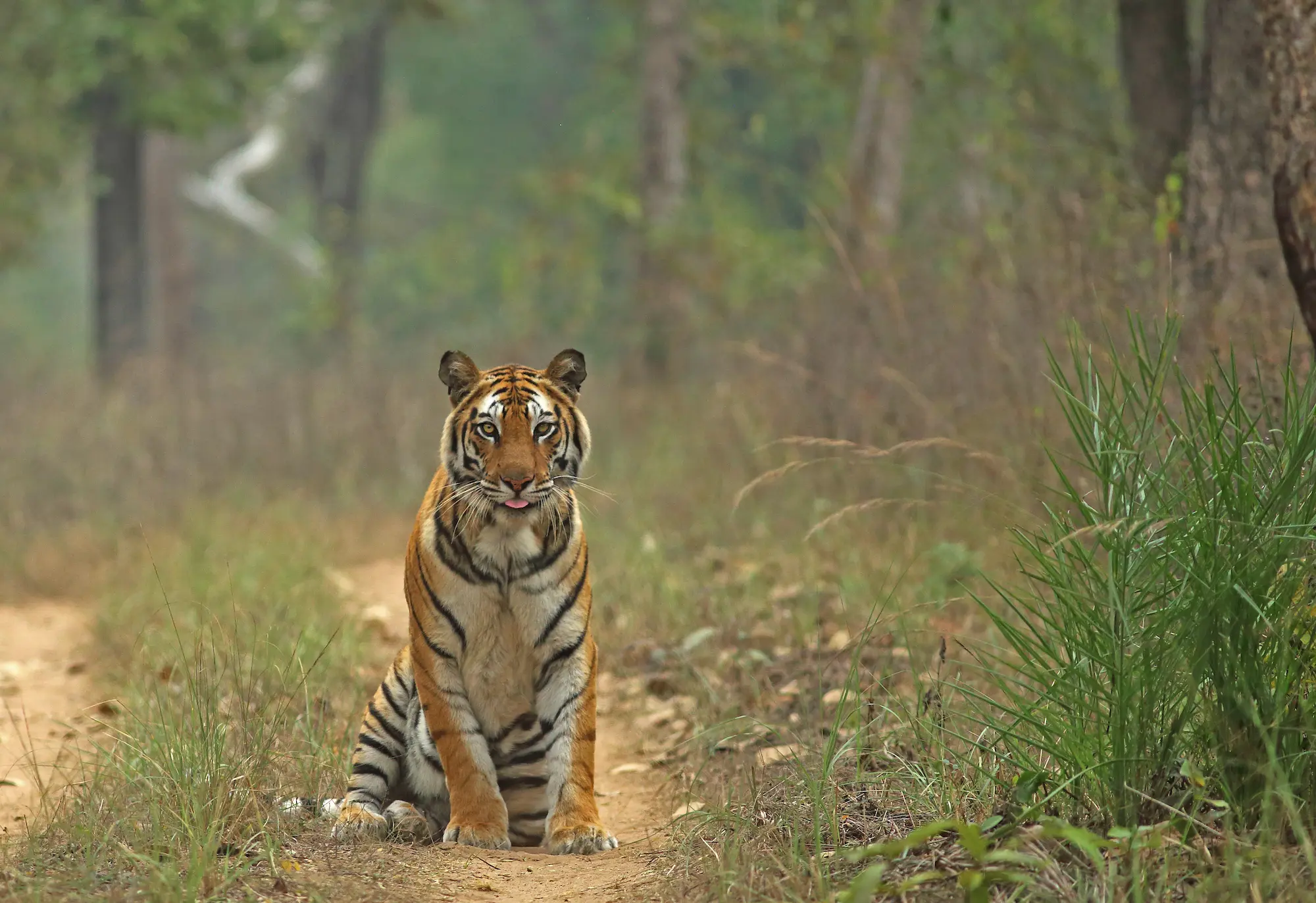 PANNA Expedition 11-14 June 2026