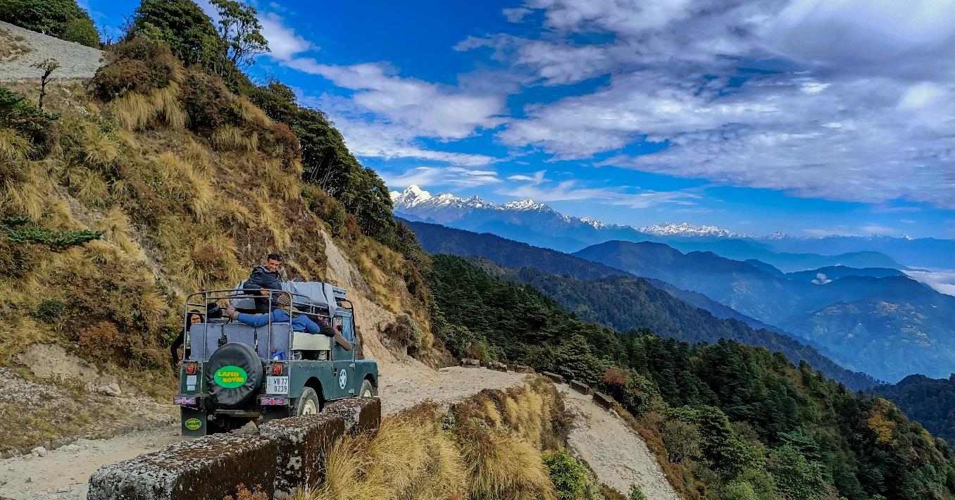 Central Indian Jungles